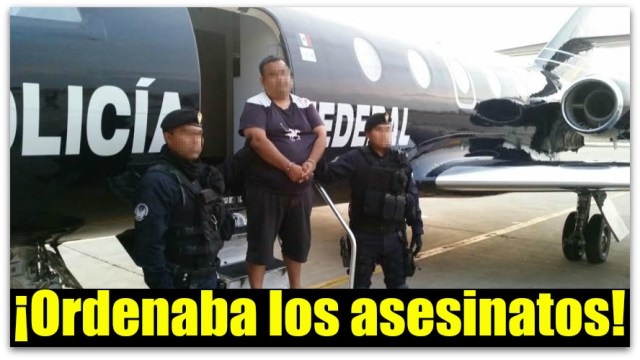 EL BURRO LOS CABOS BCS