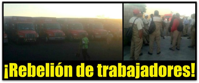 v coca cola los cabos