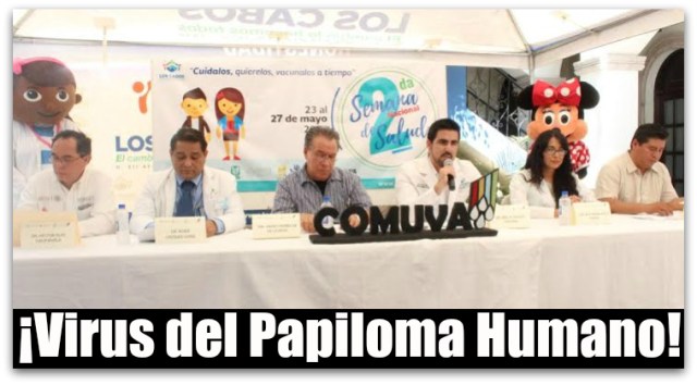 0 a a a vacuna virus papiloma humano