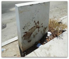 0 a a ataque en la colonia diana laura2