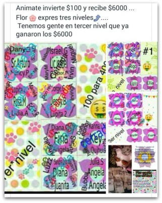 0 a aa flor de la abundancia los cabos