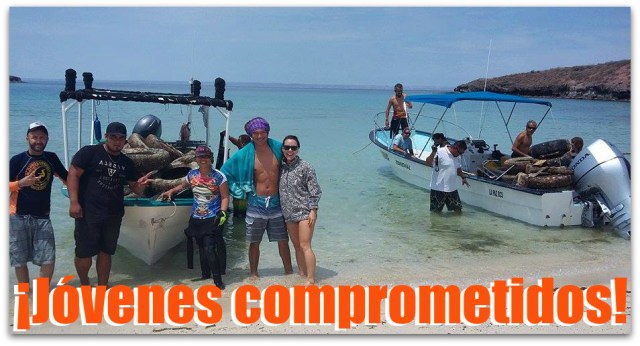 0 a llantas en los mangales