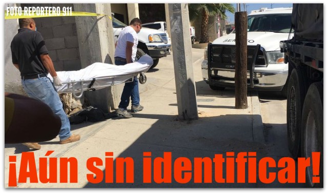0 a muerto en colonia lagunitas cabo san lucas