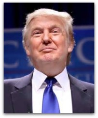 8 com donald trump baja california 8