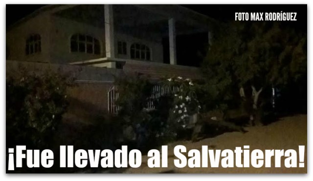 0 a a ataque a balazos en ampliación el centenario