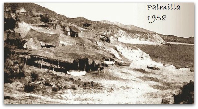 0 a a palmilla playa 001