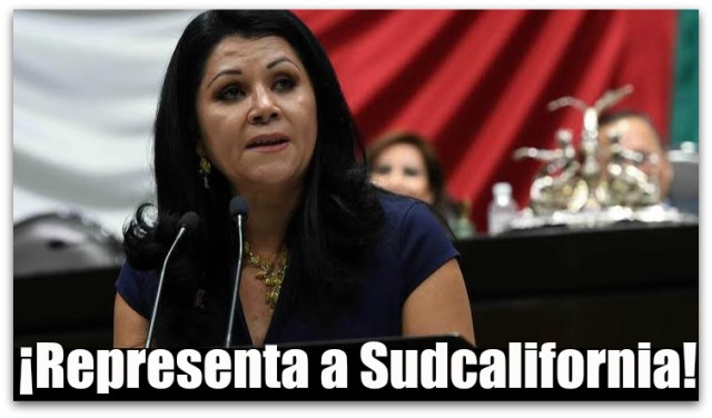 0 a diputada jisela paes bcs