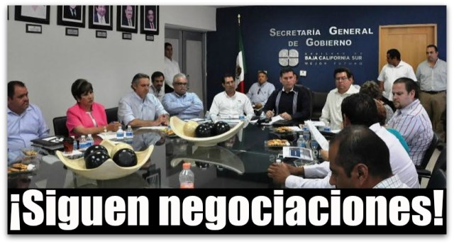 0 a negociacion playa punta lobos