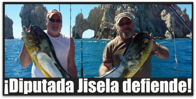 0 a pesca deportiva los cabos partido verde