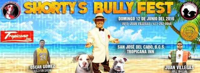 0 a shorty buly fest