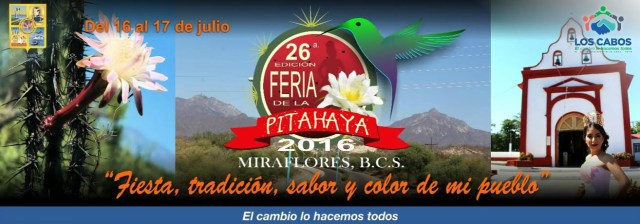 0 a feria de la pitahaya miraflores