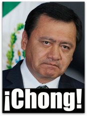 0 a osorio chong y6868