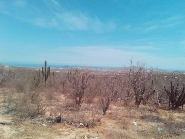 0 aa fernando valencia terrenos 003