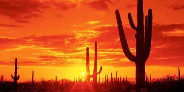 cuera paisaje desierto baja california sur