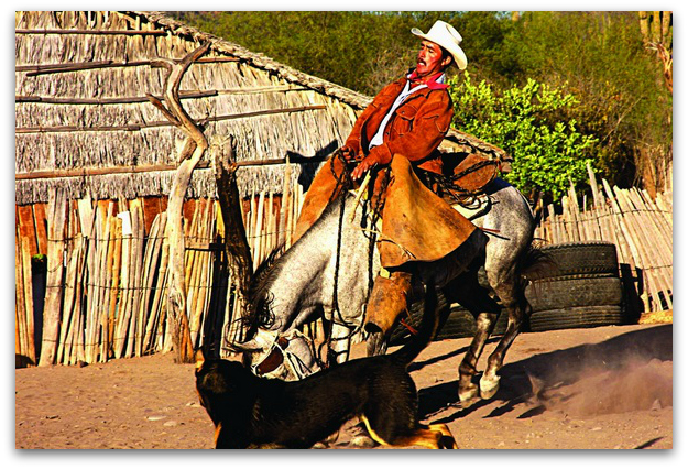 cuera sudcaliforniana