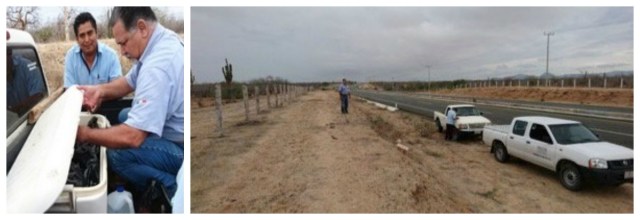 0 A CARNE DE VENADO DECOMISO