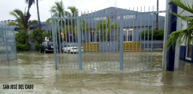 0 a policia municipal los cabos