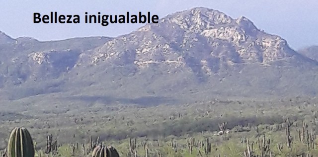 0 a valentin castro el rosotro suplicante