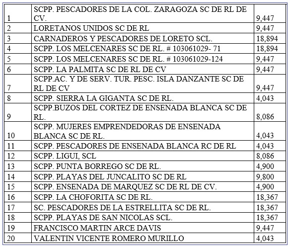 ALMEJAS PERMISOS EN LORETO