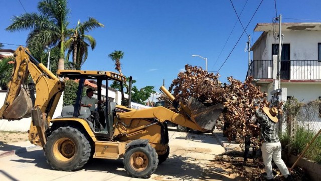 0-a-a-recoleccion-basura-los-cabos