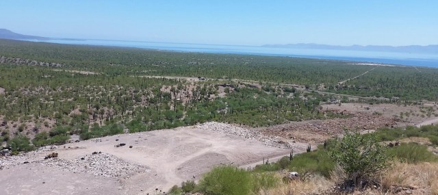 0-a-ejido-loreto-bcs