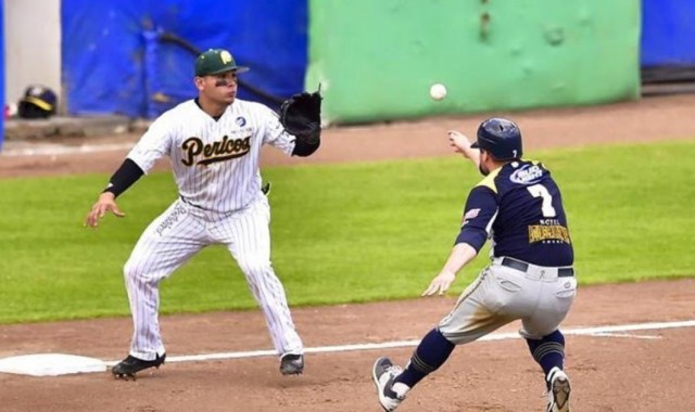 0-a-loreto-pericos-de-puebla