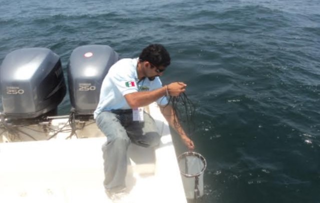 0-a-playas-de-la-paz-y-los-cabos