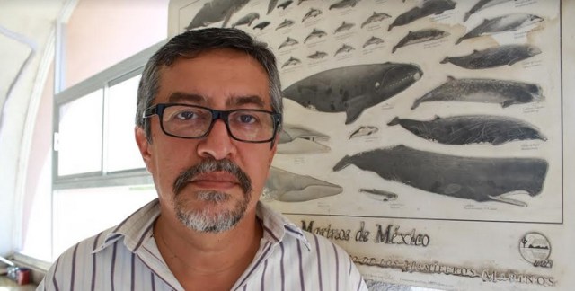 0-a-uabcs-restos-fosiles-san-juan-de-la-costa