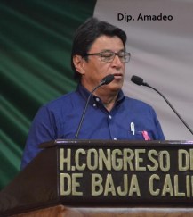 0-a-a-amadeo-murillo