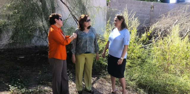 0-a-a-diputada-vonborstel-la-paz-bcs