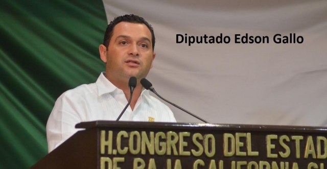 0-a-a-edson-gallo-diputado