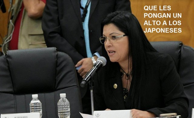 jisela-mitsubishi-japon