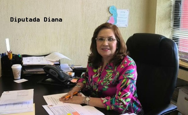0-a-a-diputada-diana-vonborstel