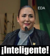 0-a-a-ro-eda-palacios-dip