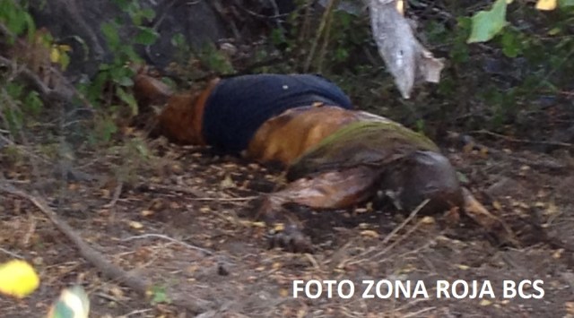 0-a-a-a-cuerpo-mujer-colonia-calafia