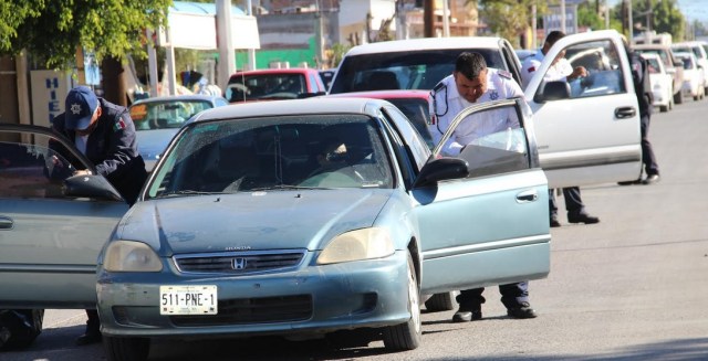 0-a-a-a-polarizado-comondu