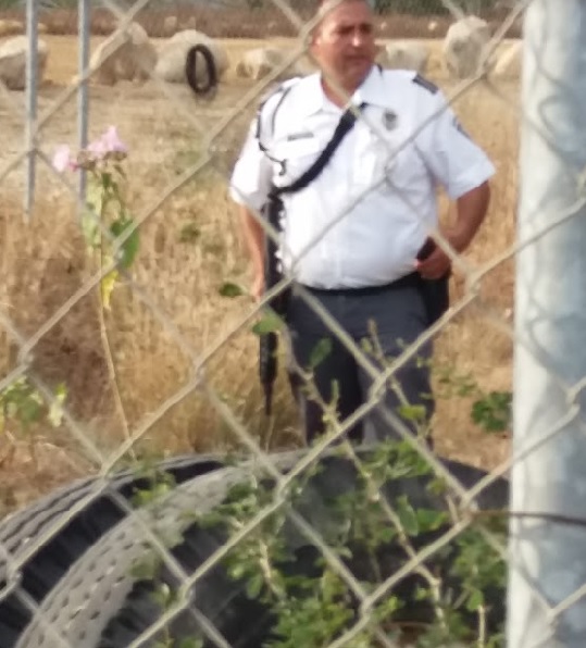 0-a-a-a-puerto-los-cabos-invasion-la-playa-9