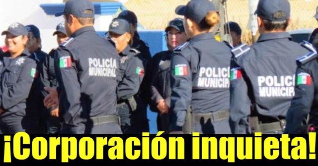 0-a-a-ahi-la-firma-de-proveduria-los-cabos-carlos-mendoza