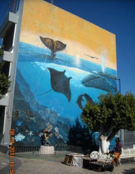 0-a-a-wyland-mural-la-paz-bcs