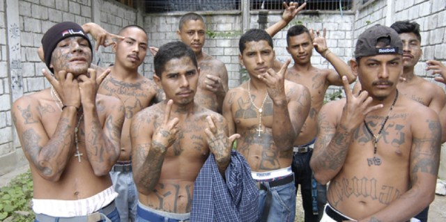 0-a-a-a-iv-marasalvatrucha