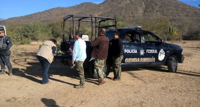 0-a-a-a-venado-bura-la-paz-bcs-4