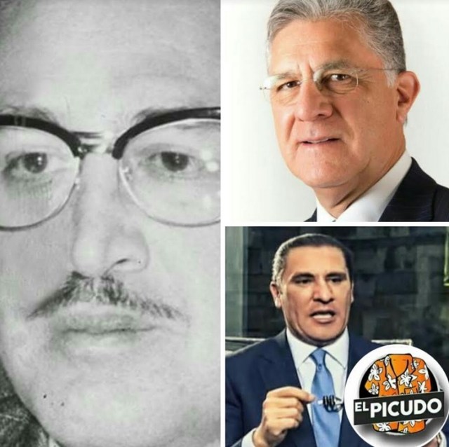 0-a-a-moreno-valle-picudo-azul