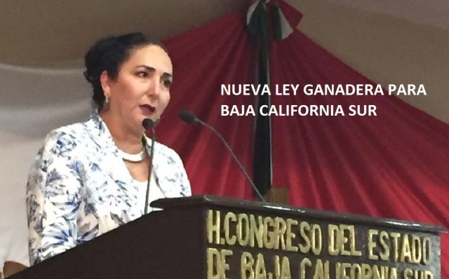 0-a-eda-palacios-ley-ganadera